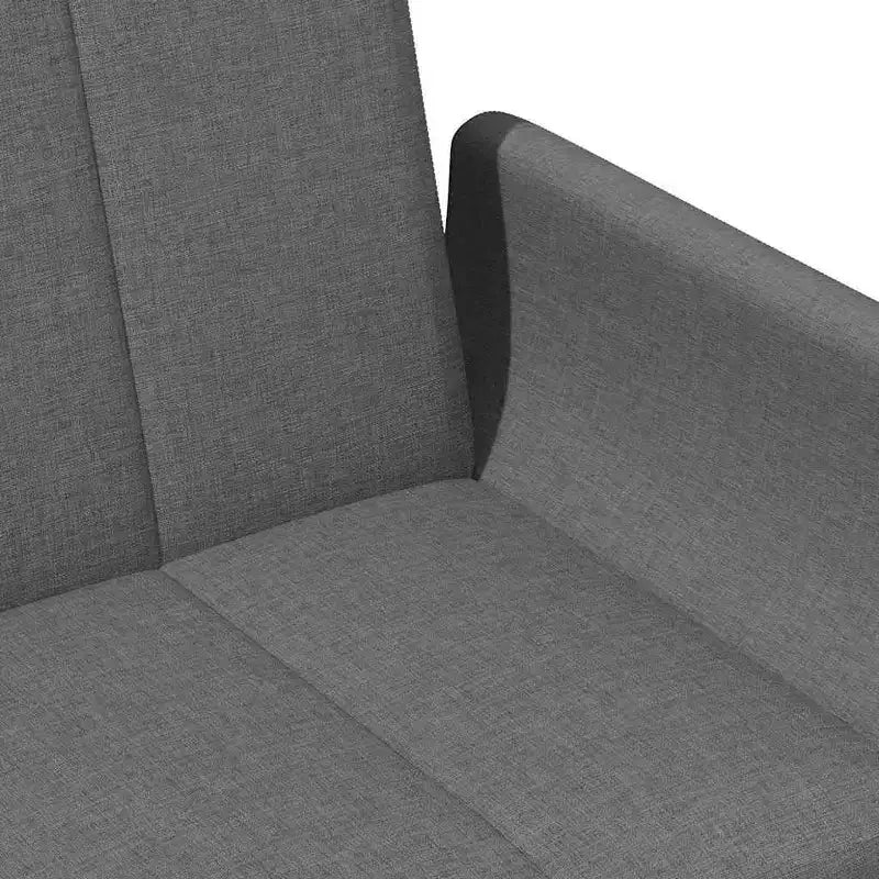 vidaXL Canapé-lit gris foncé Polyester, bois, plastique, mousse 2 places