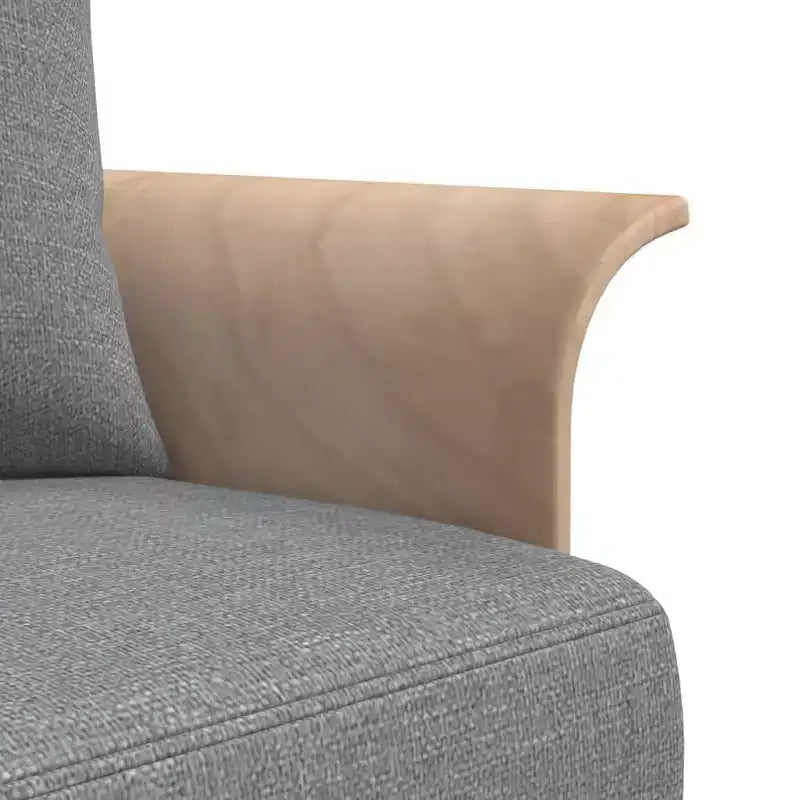 vidaXL Canapé-Lit Convertible pour Salon en Tissu