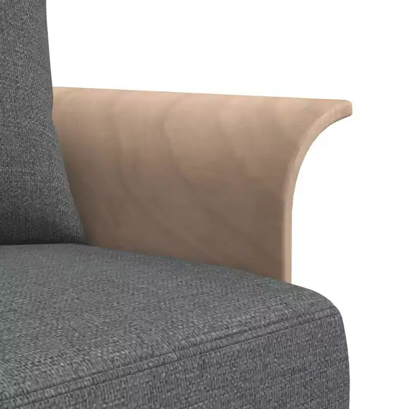 vidaXL Canapé-Lit Convertible pour Salon en Tissu