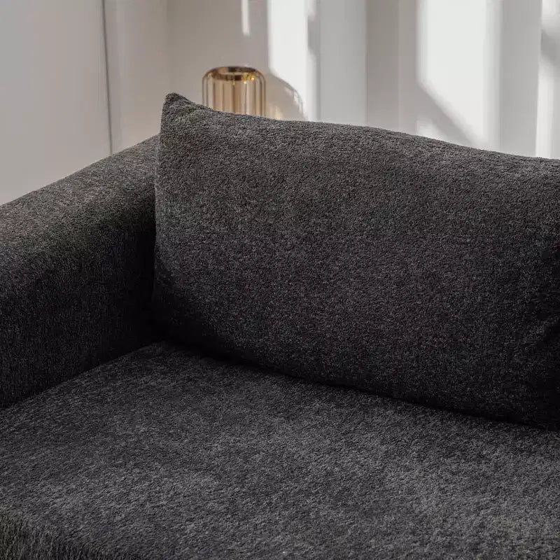 Moderno Divano Letto Convertibile 2-in-1 con Cuscini, Divanetto Pieghevole in ciniglia per Soggiorno o Camera degli Ospiti - Panipeachy