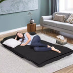 Costway Divano Letto Pieghevole da Terra con 6 Posizioni Regolabili e 2 Cuscini Blu\Beige\Grigio\Nero